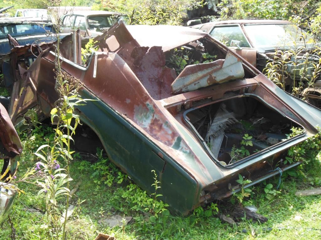 Stark wrecking yard, Dayton OH
